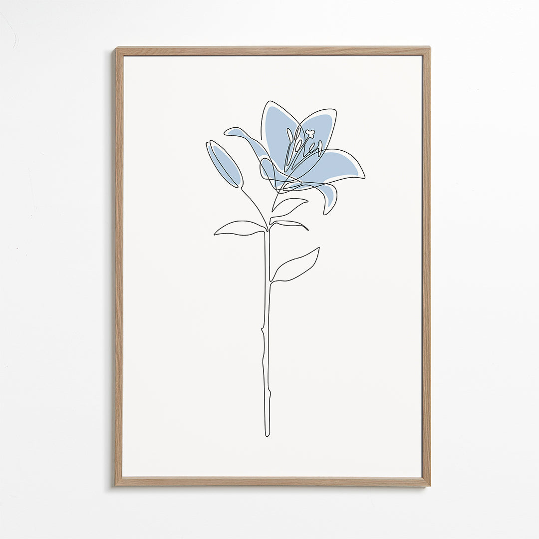 Blue Lily