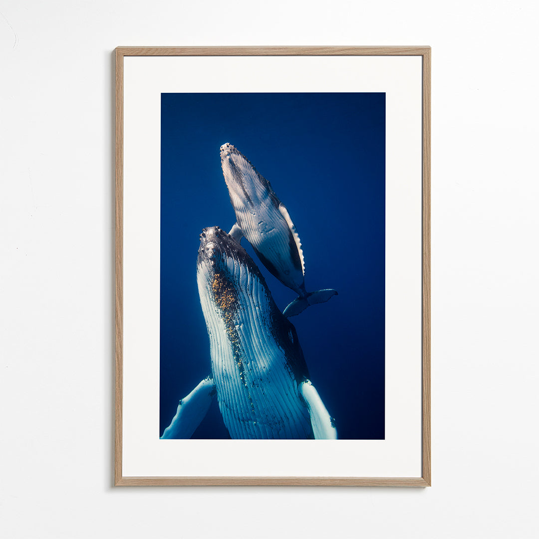 Come back to the surface - Barathieu Gabriel