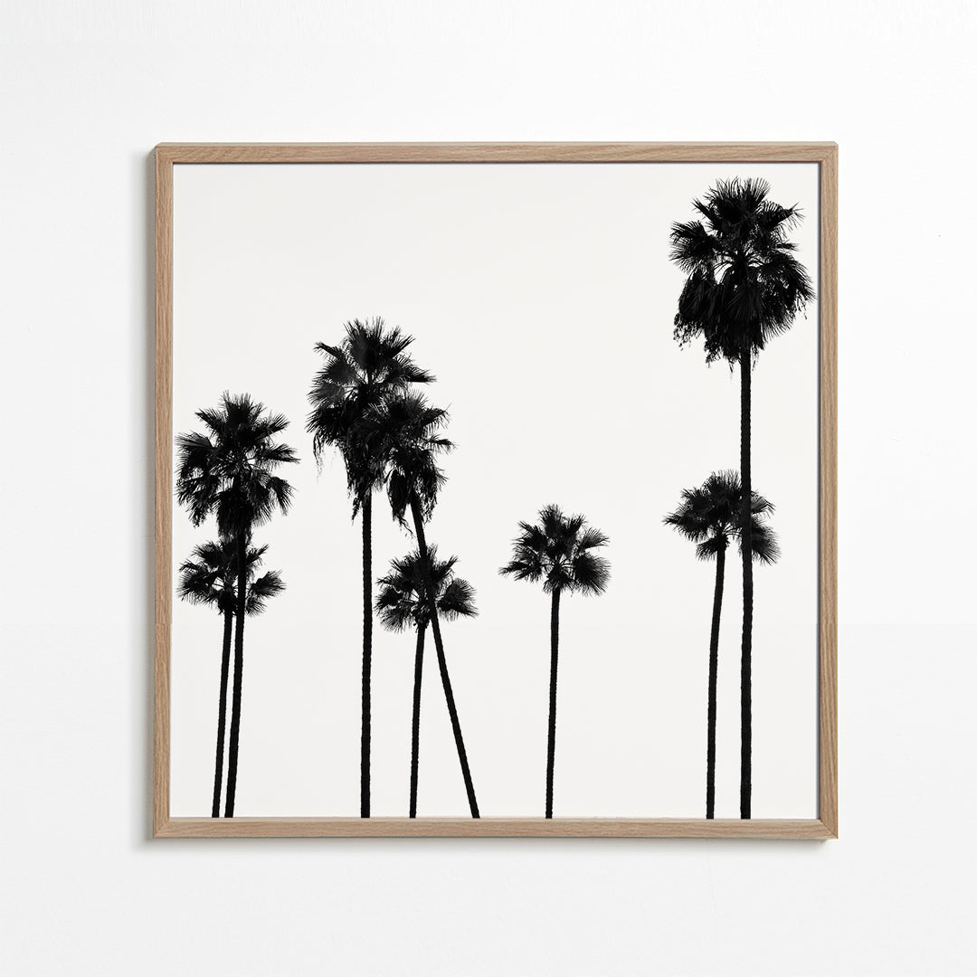 Black California - Palm Trees L.A II