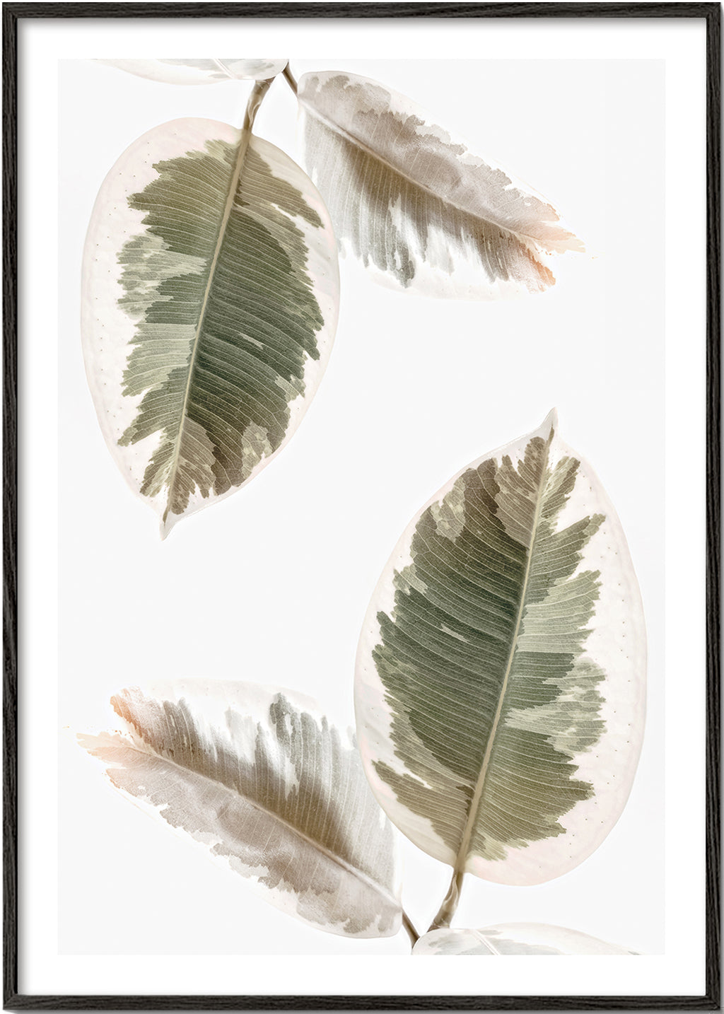 Couple leaves illustration