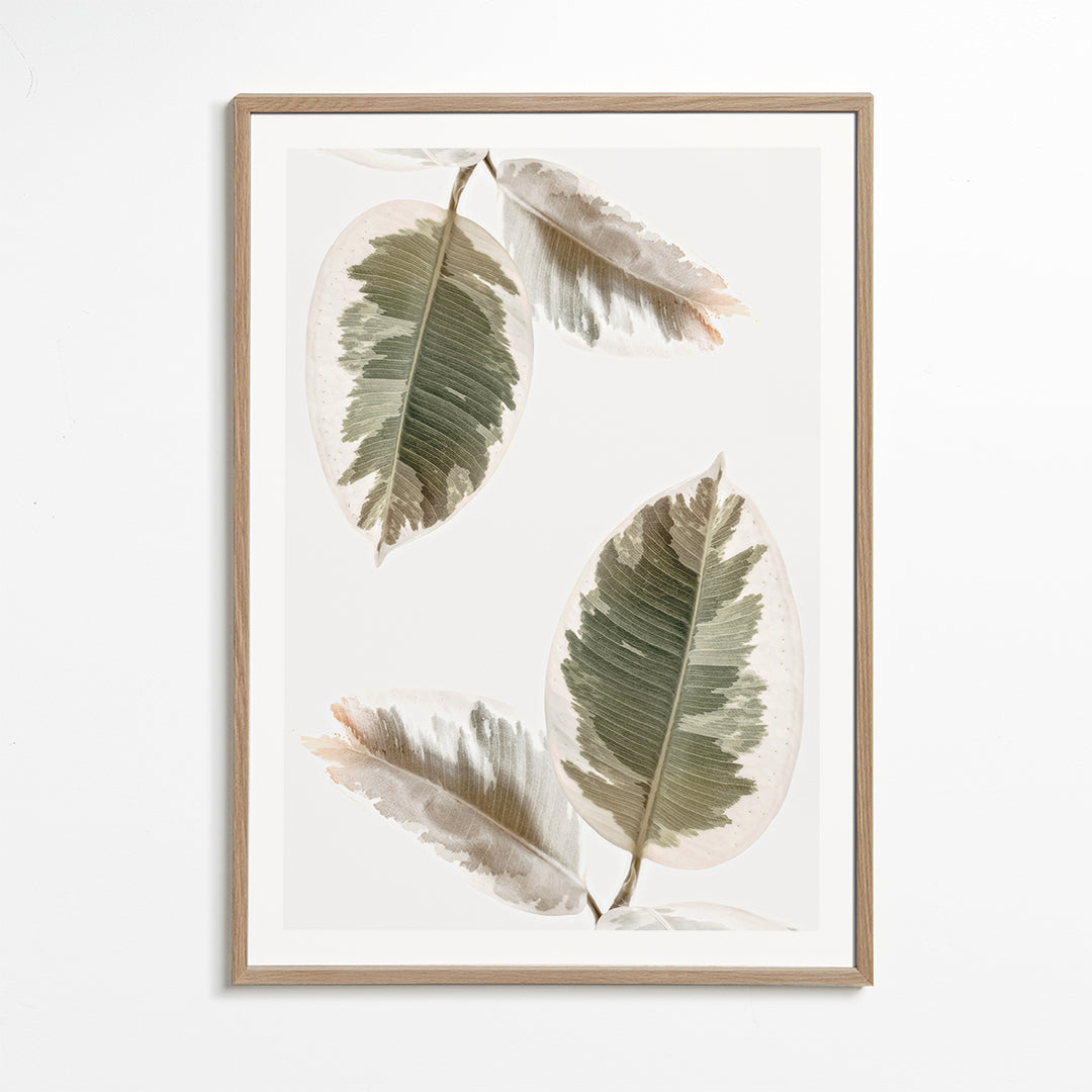 Couple leaves illustration