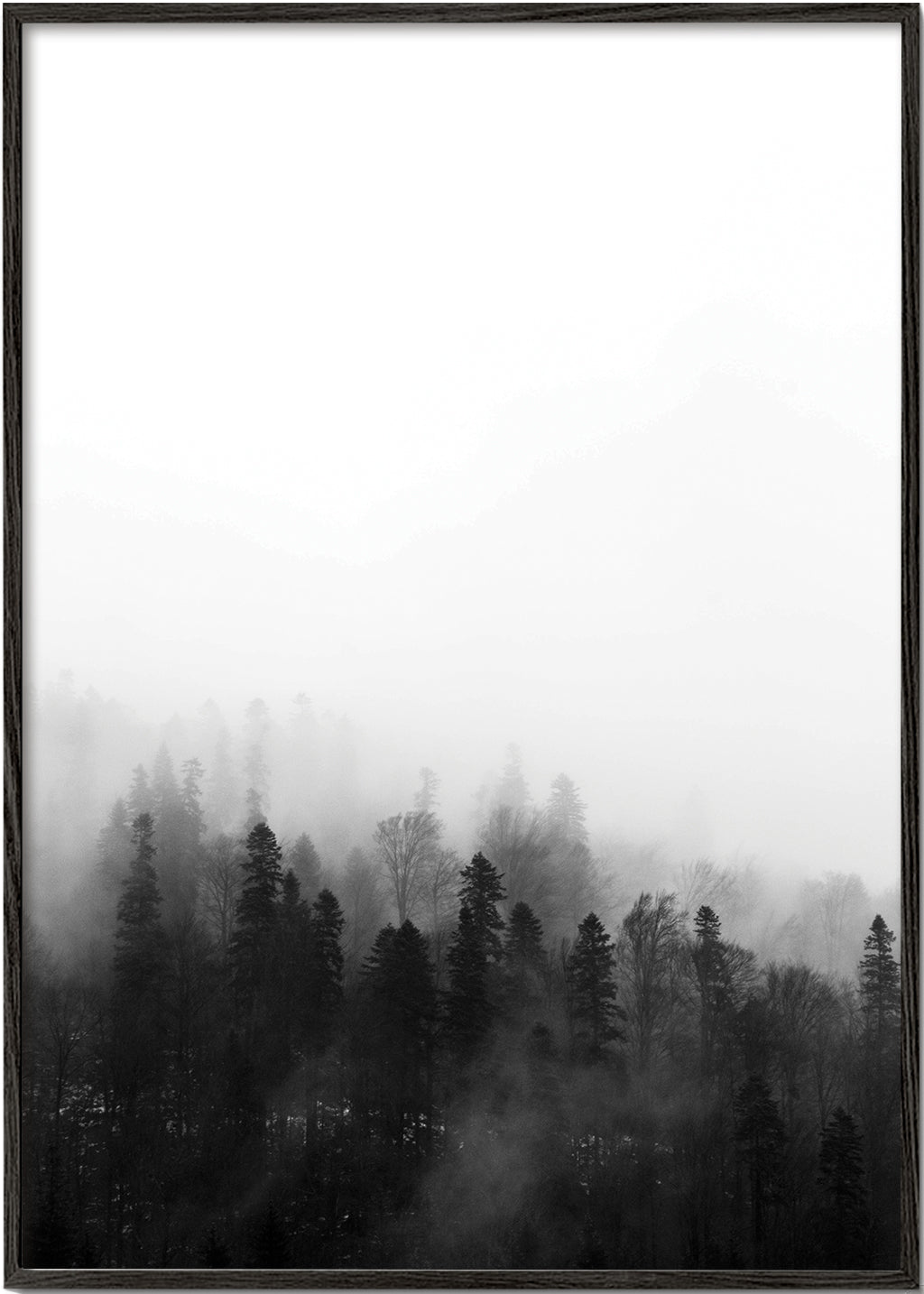 Landschaftskunst: Nebelwald
