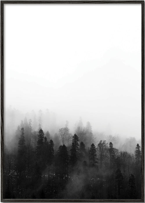 Landschaftskunst: Nebelwald