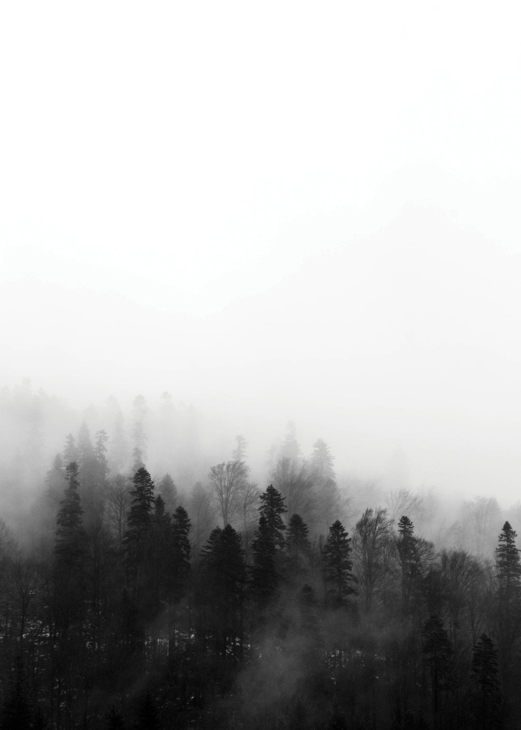 Haunted forest - Unframed art print
