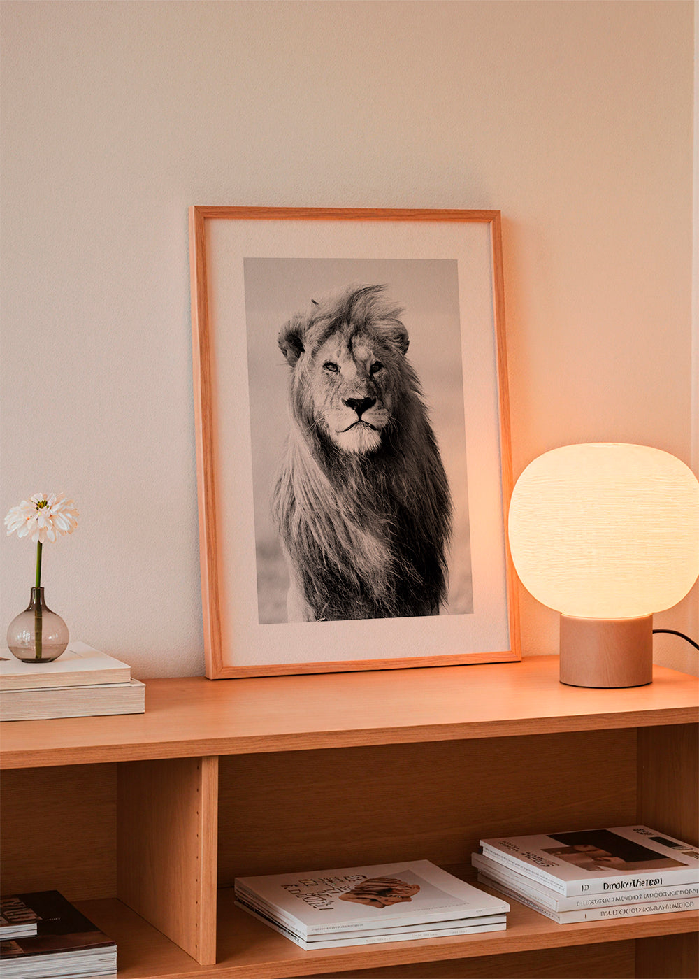 Majestic lion