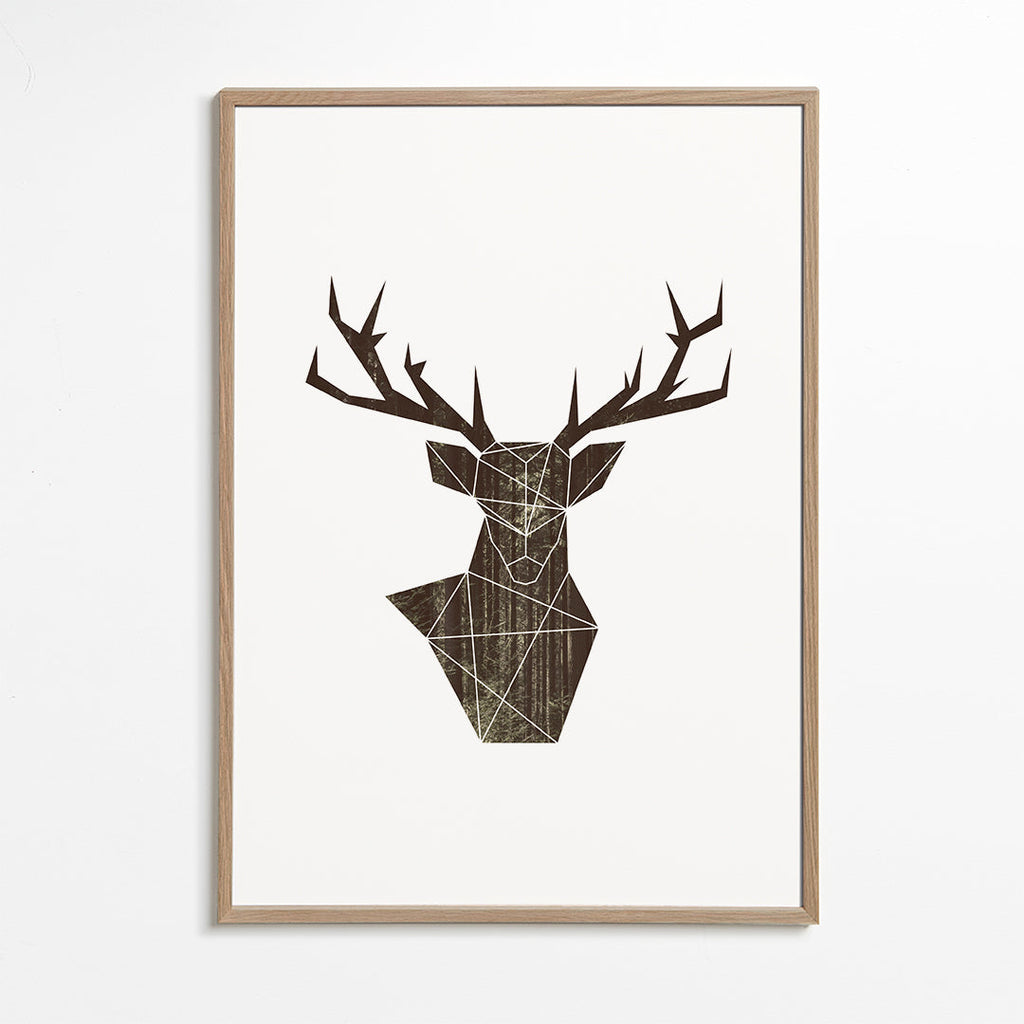 Forest deer