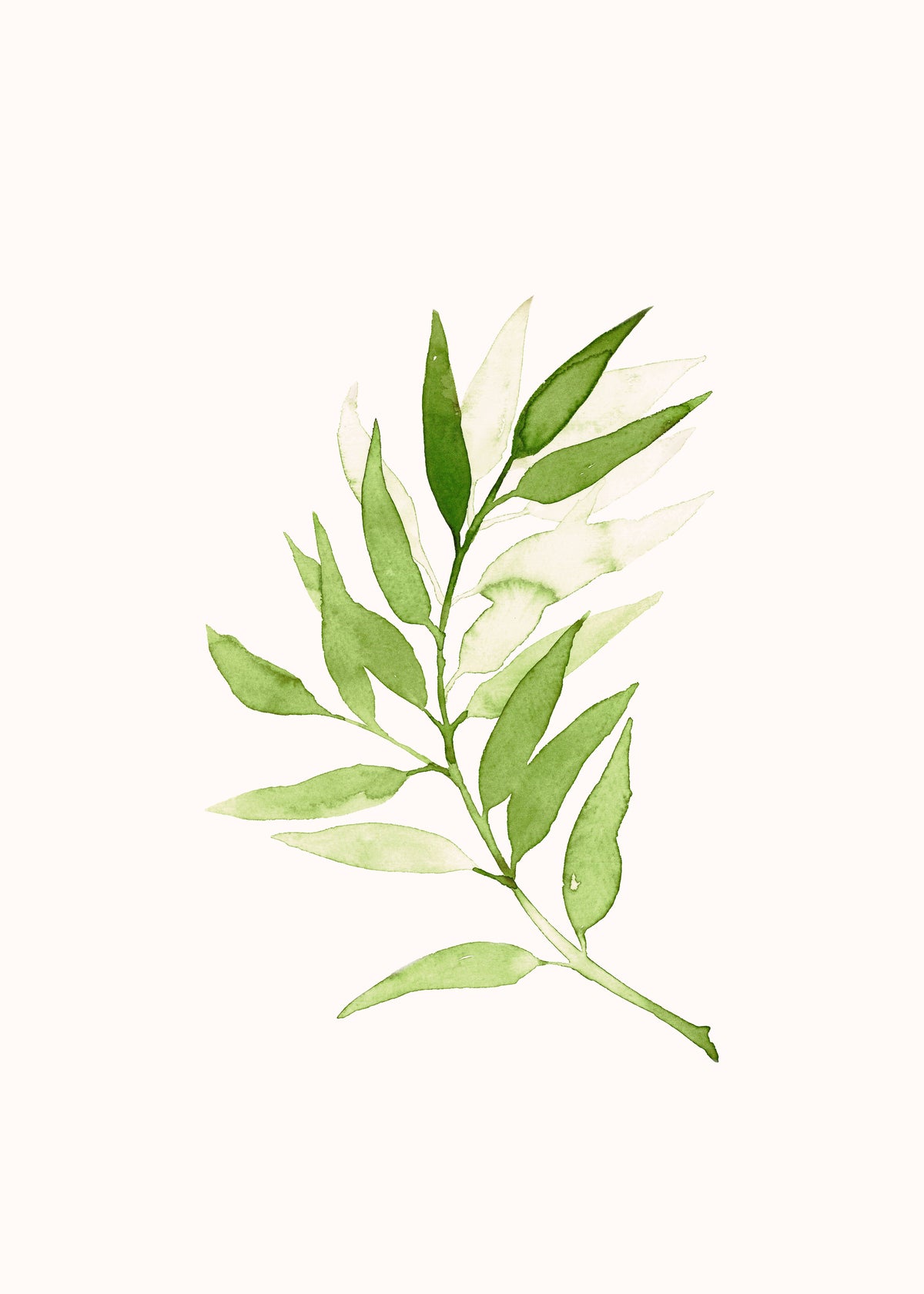 Olive Green Branch - Unframed art print