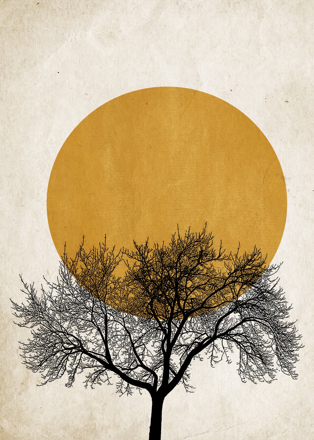 Winter sunrise - Unframed art print