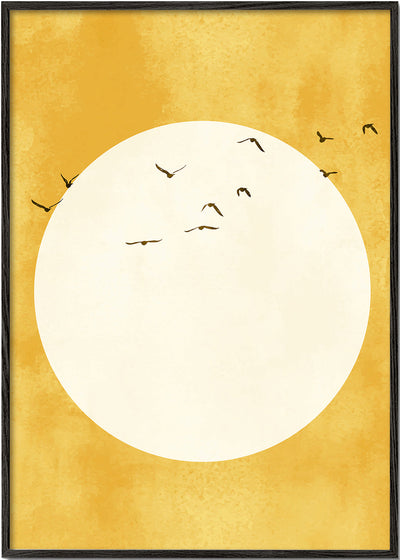 Sunlight