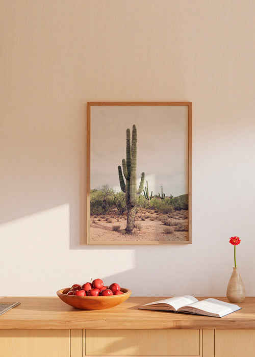 Desert cactus