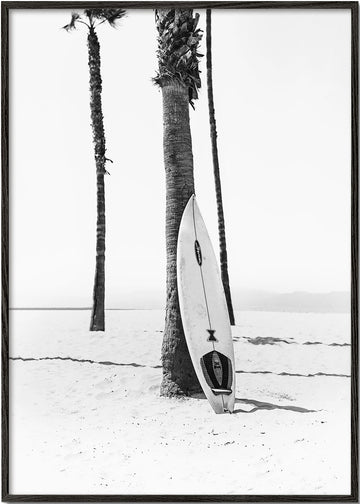 Surfboard BW