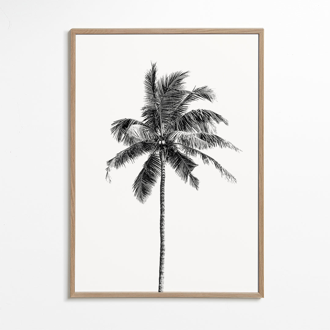 Palm tree by the beach