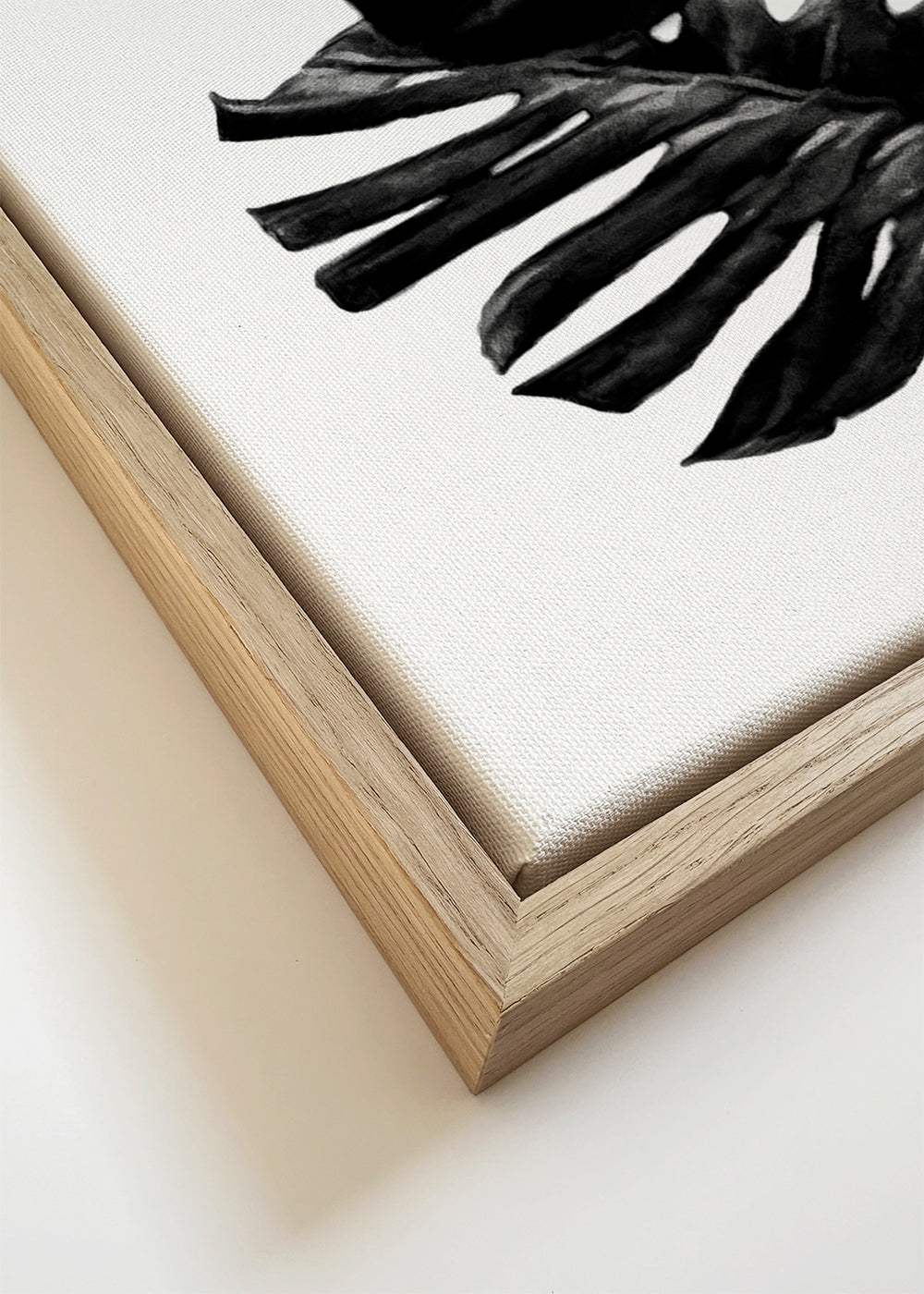 Monstera Black and White 01