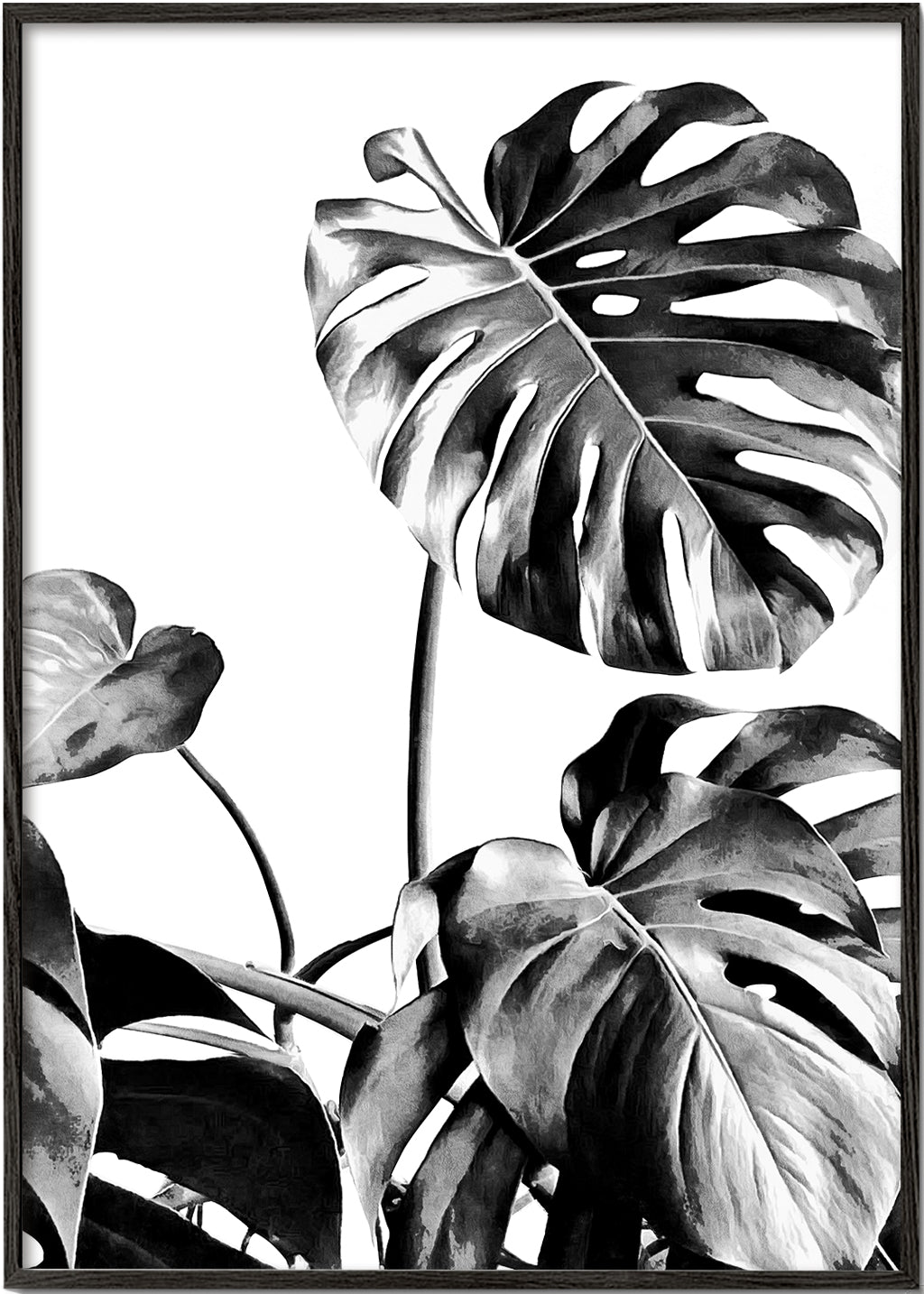 Monstera Black and White 07