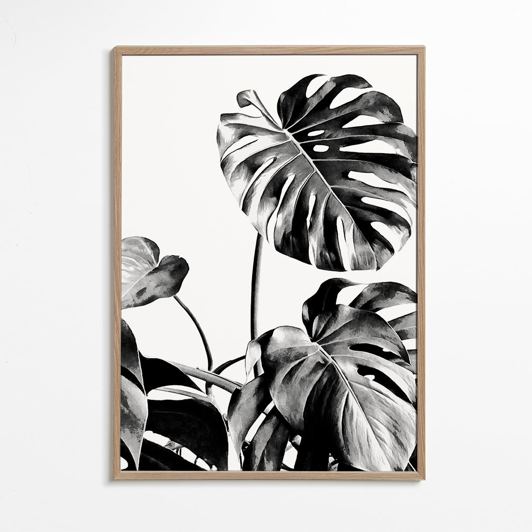 Monstera Black and White 07