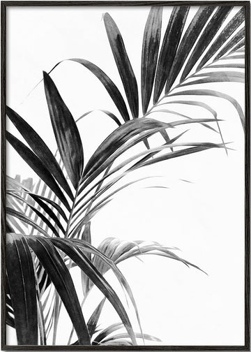 Palm Leaves Black and White 03