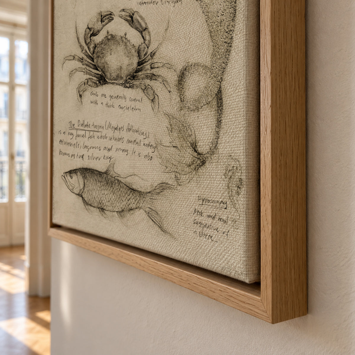 Sea Animals - Framed canvas detail