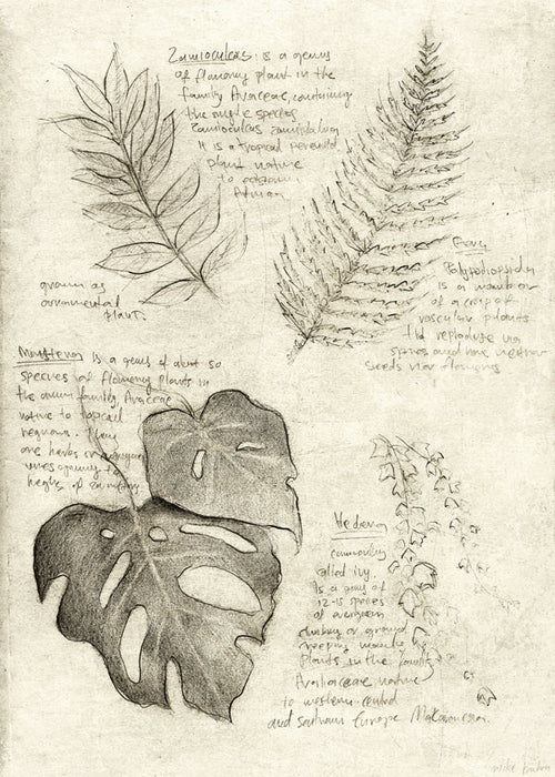 Plants