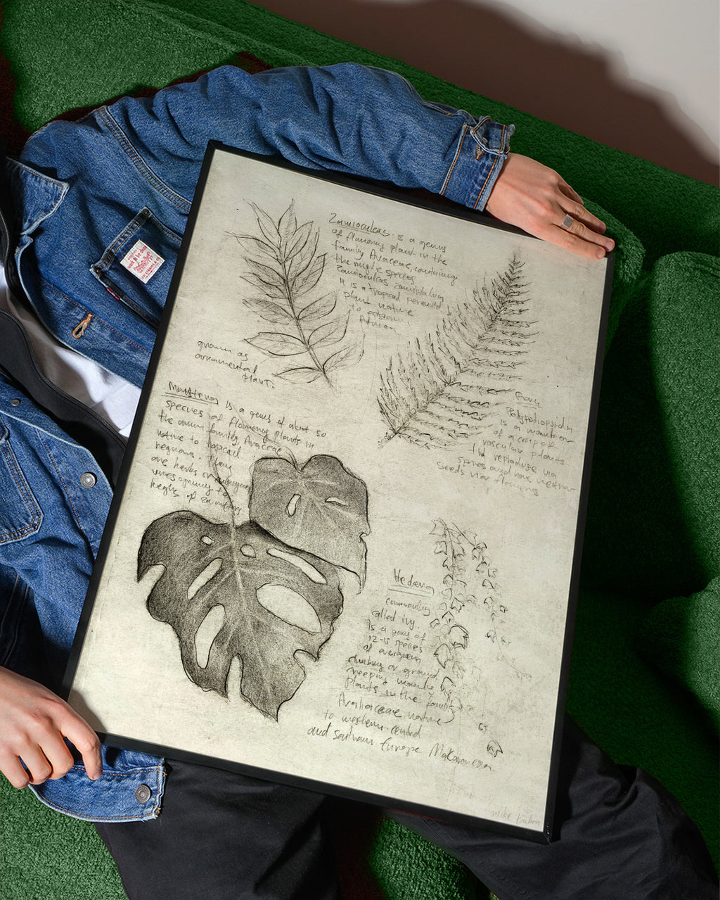 Plants - Framed poster detail