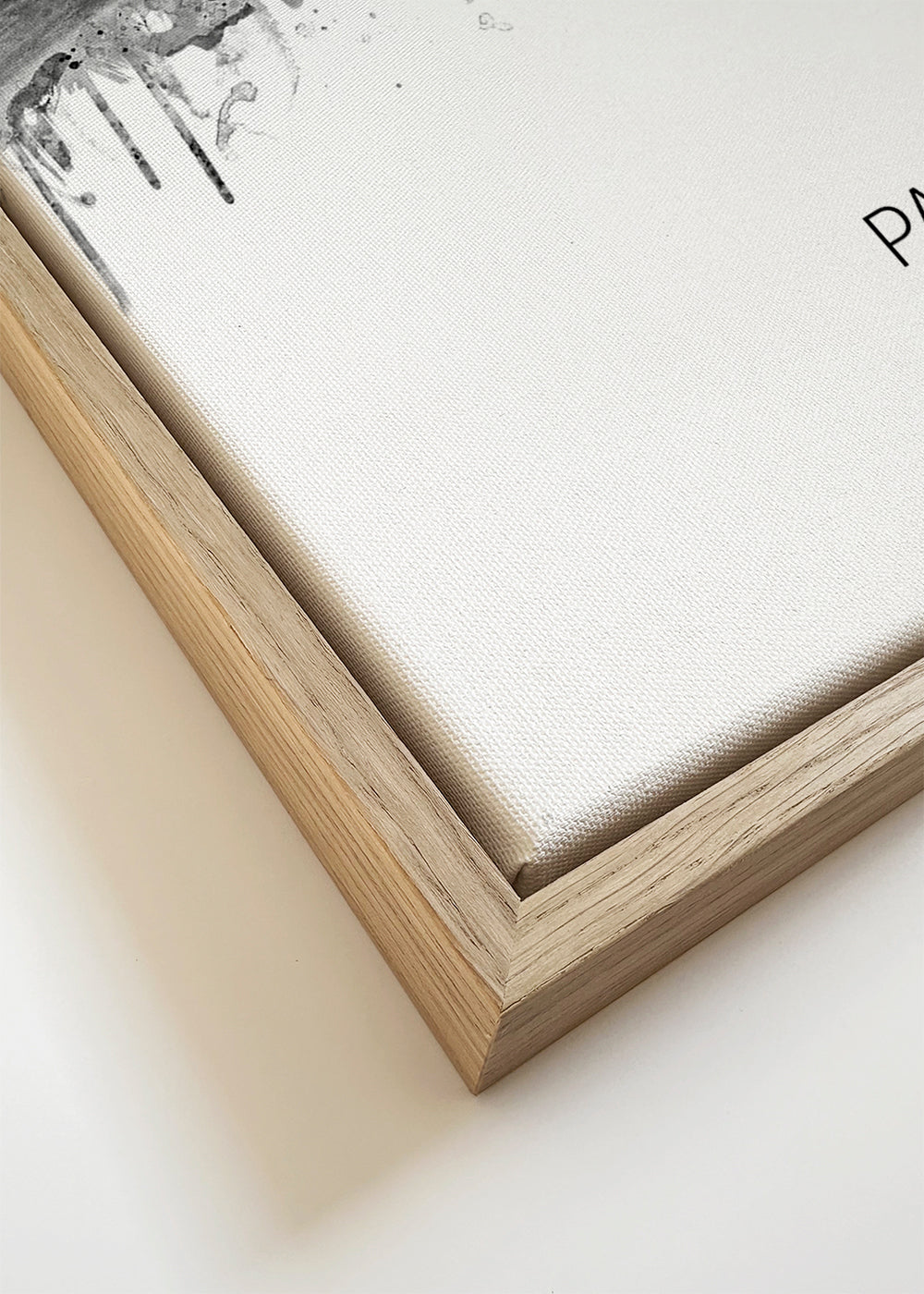 Paris Skyline en blanco y negro