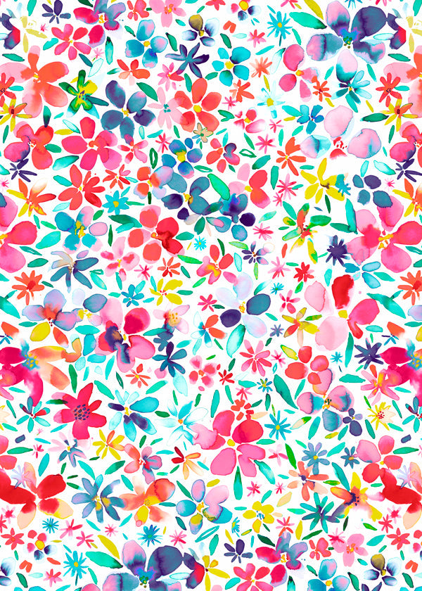 Colorful Flowers and Petals