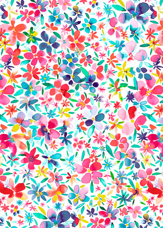 Colorful Flowers and Petals