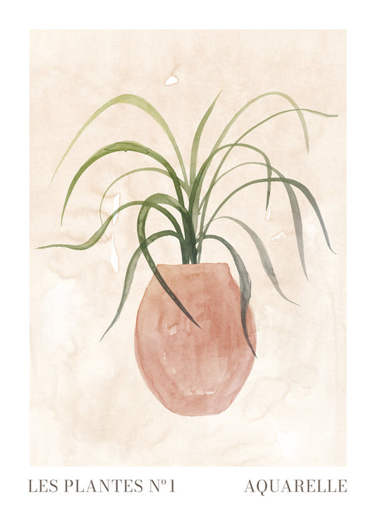 Les plantes Nº1