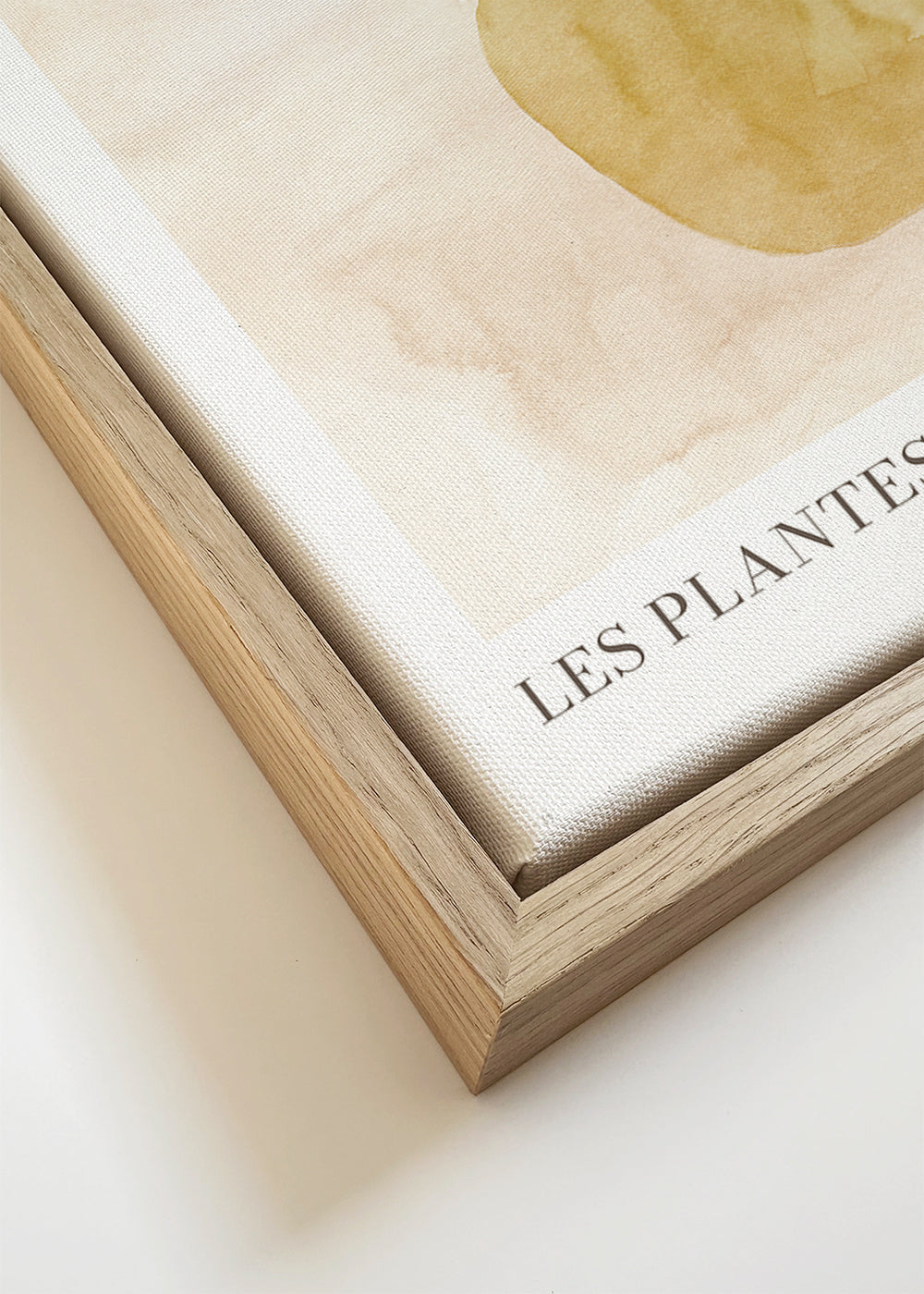Les plantes Nº3
