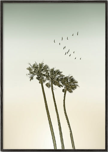 Vintage palm trees at sunset