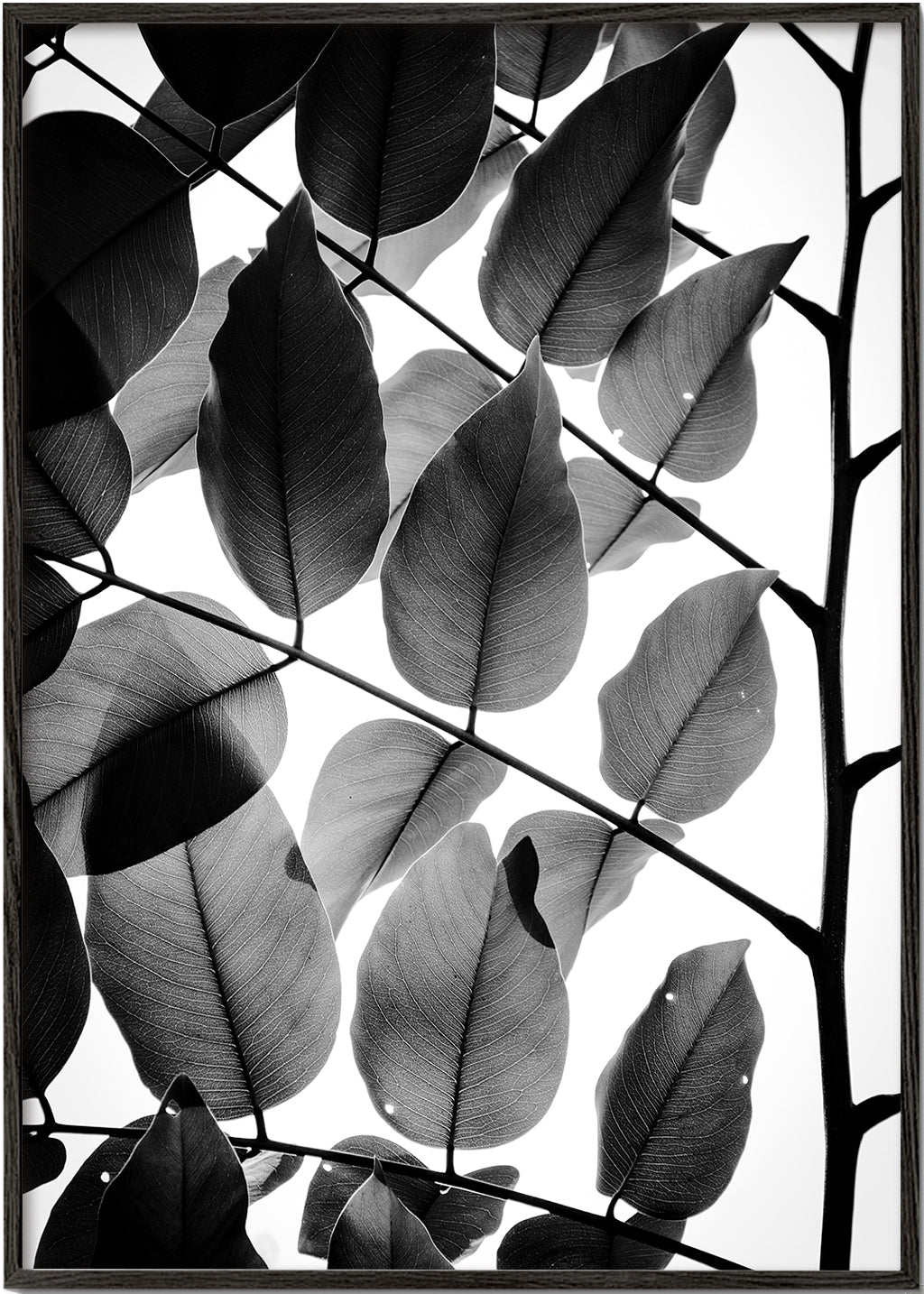 Branches and Leaves II