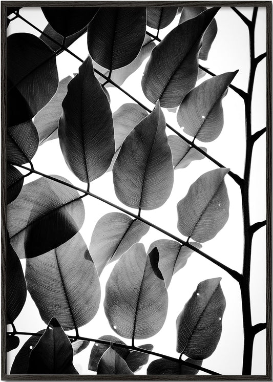 Branches and Leaves II