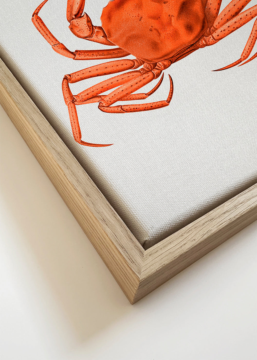 Watercolor Crab