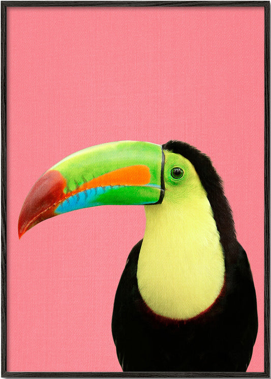 Toucan Bird in Pink