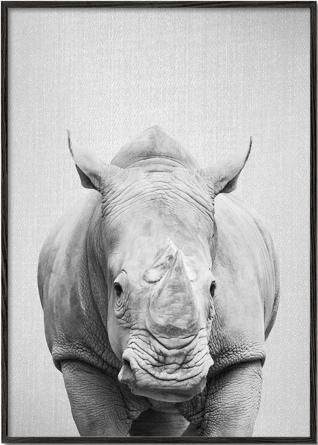 Rhino - Black & White