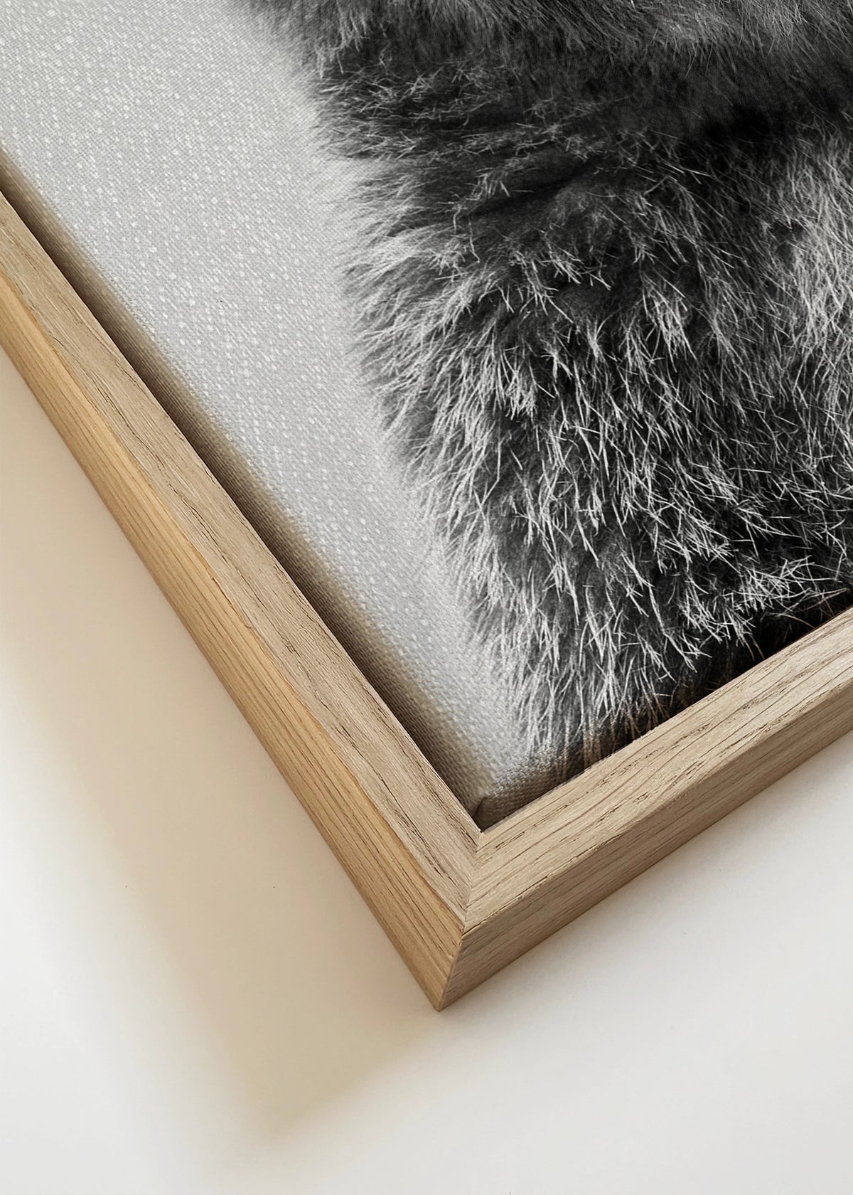 Grizzly Bear - Black & White - Framed canvas detail