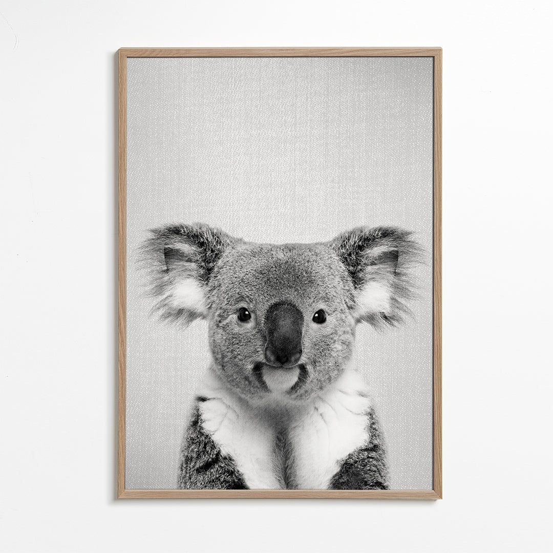 Koala - Black & White