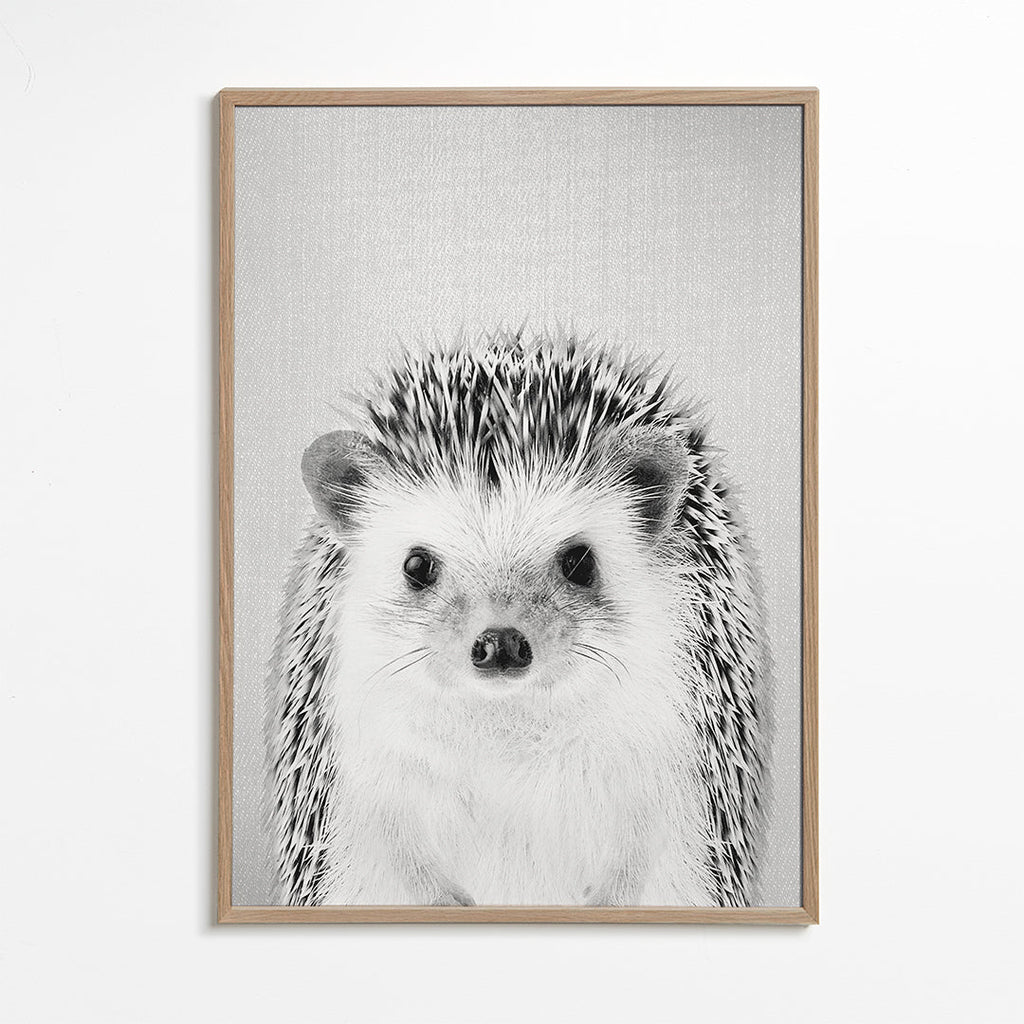 Hedgehog - Black & White