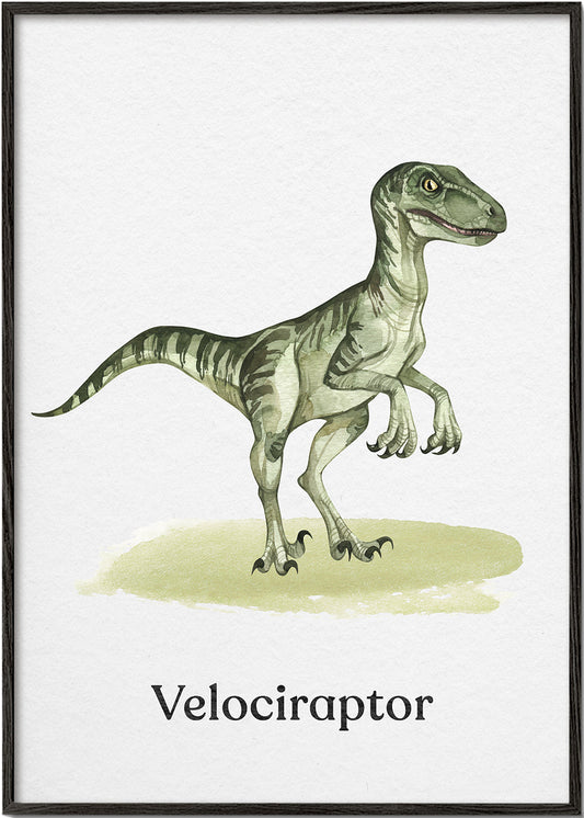 Velociraptor