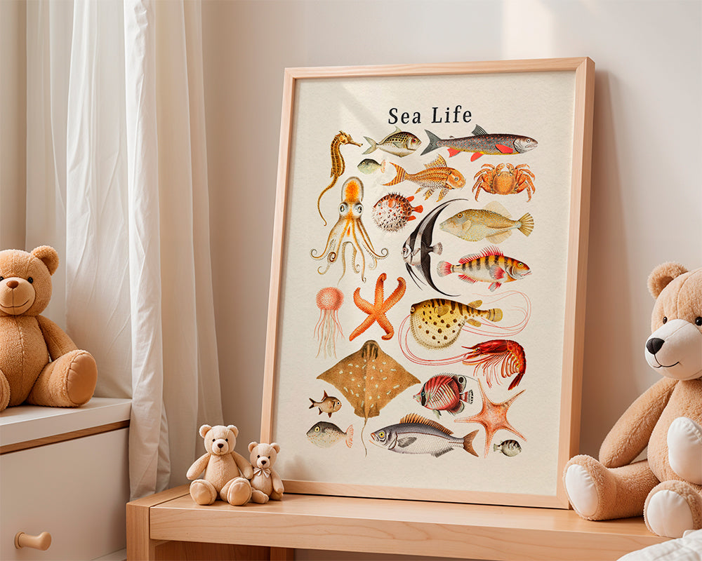 Sea Life Collection