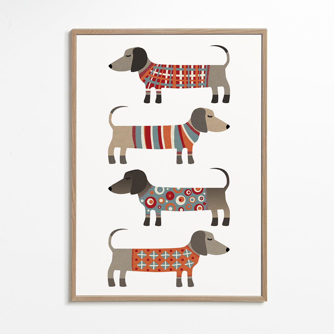 Sausage Dogs in Sweaters