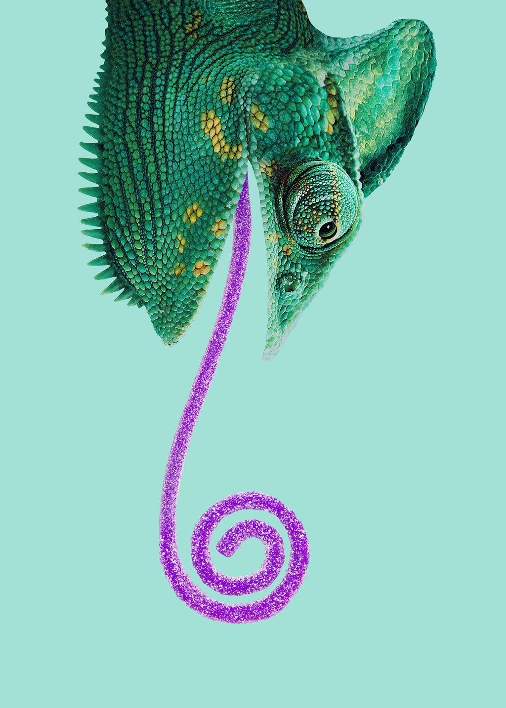 Candy Chameleon - Unframed art print