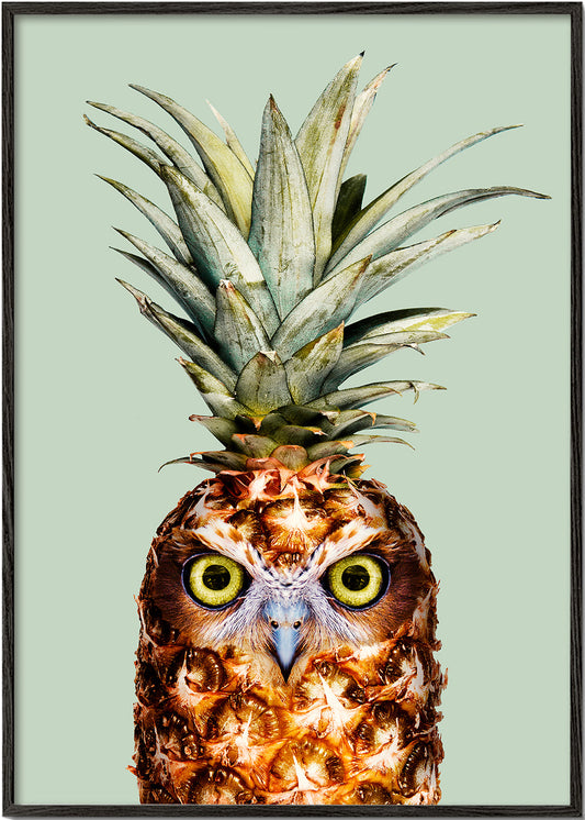 Pineapple Owl