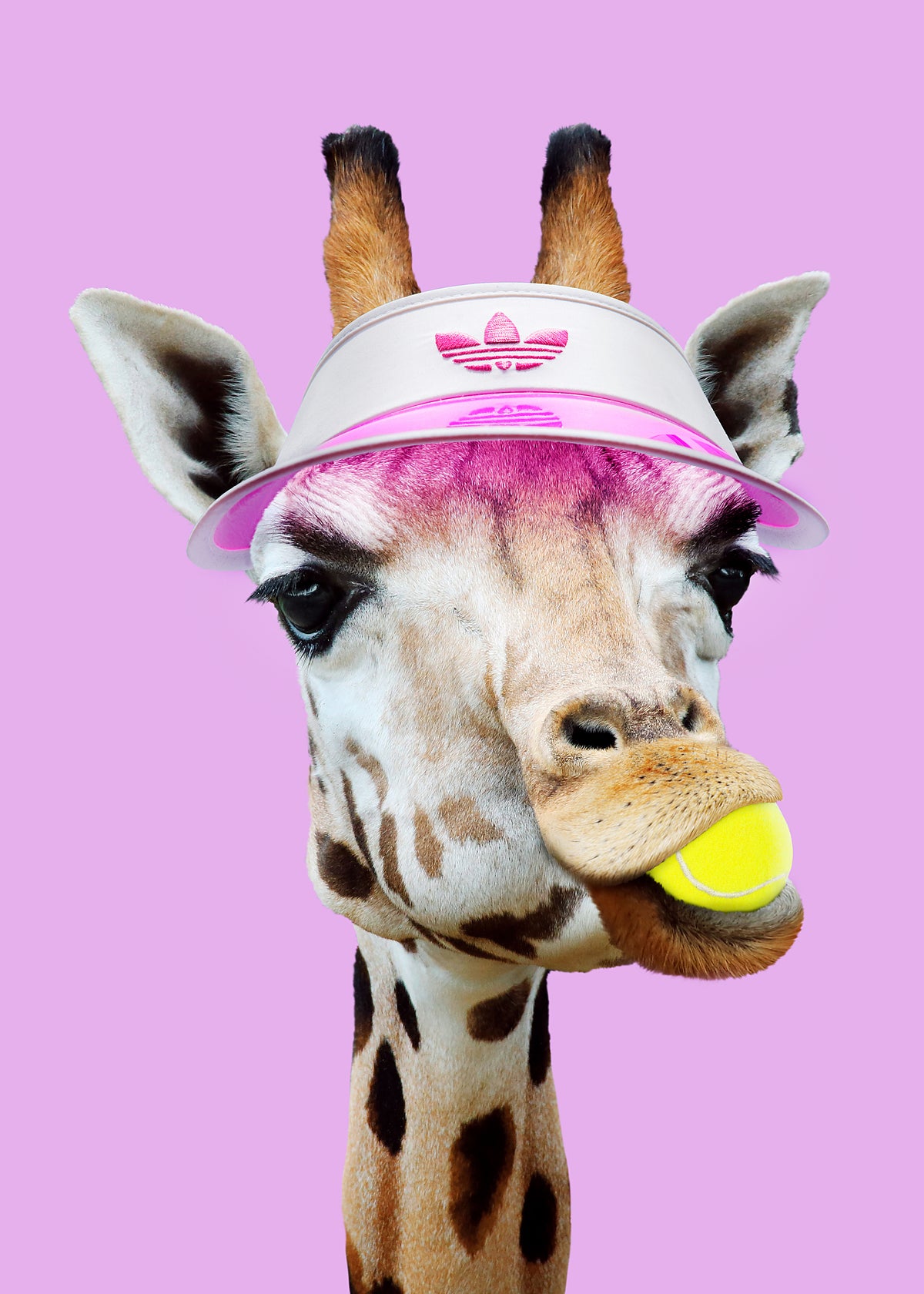 Tennis Giraffe - Unframed art print