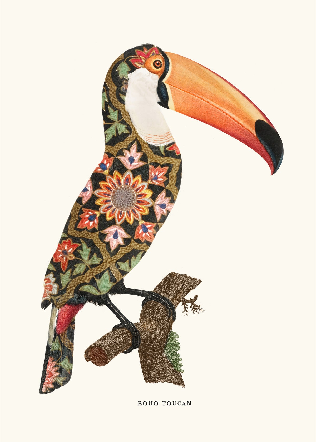 Boho toucan - Unframed art print