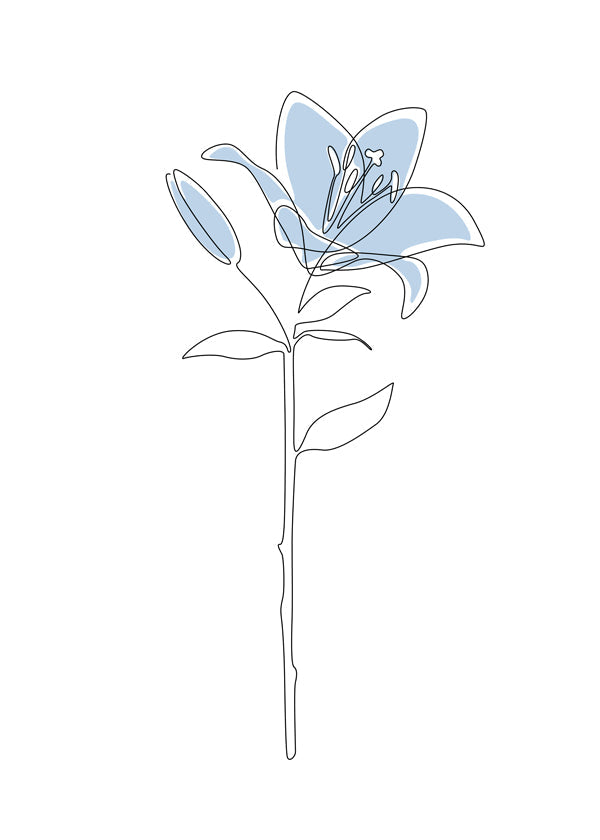 Blue Lily