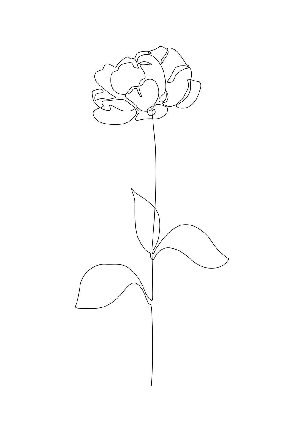 Peony - Unframed art print