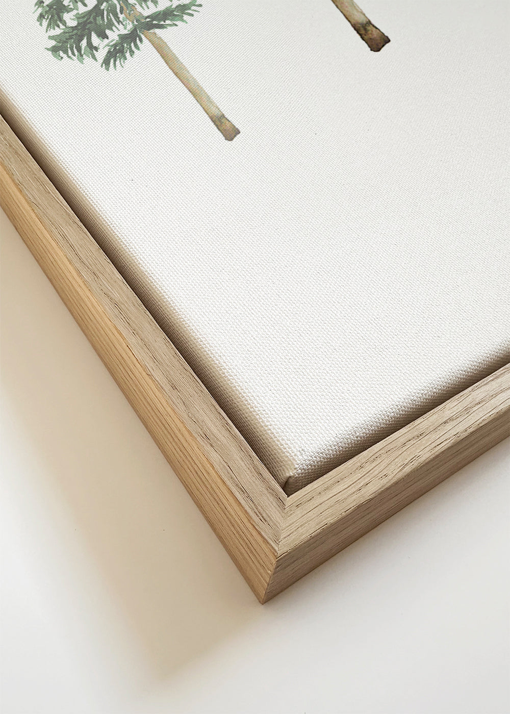 Pinetrees Winter Forest