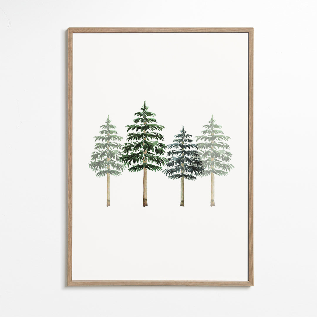 Pinetrees Winter Forest