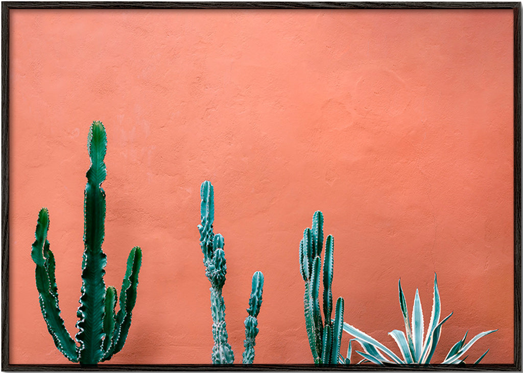 Botanischer Druck: Kakteen an Terrakottawand – Black Frame
