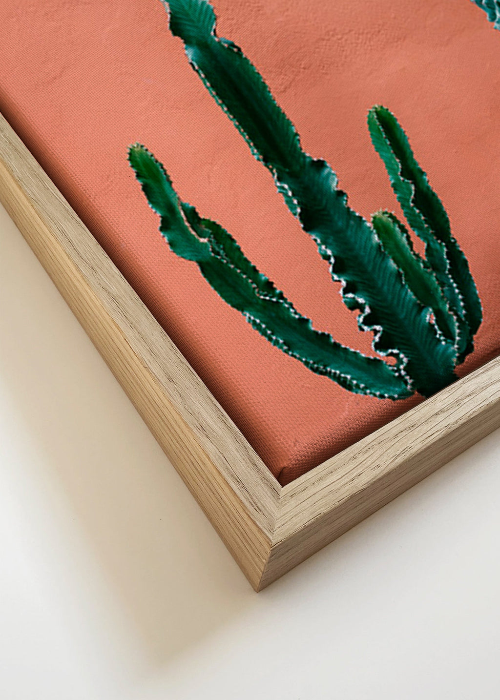 Botanischer Druck: Kakteen an Terrakottawand – Canvas detail